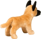 Klaus Belgian Malinois