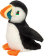 Plush Pascal Puffin on a white backgound