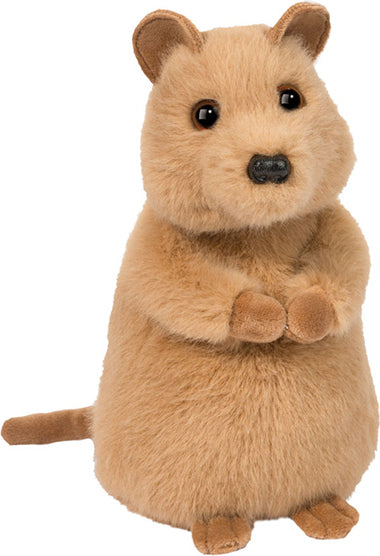 Plush Quincie Quokka Mini Soft toy on a white background