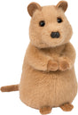 Plush Quincie Quokka Mini Soft toy on a white background