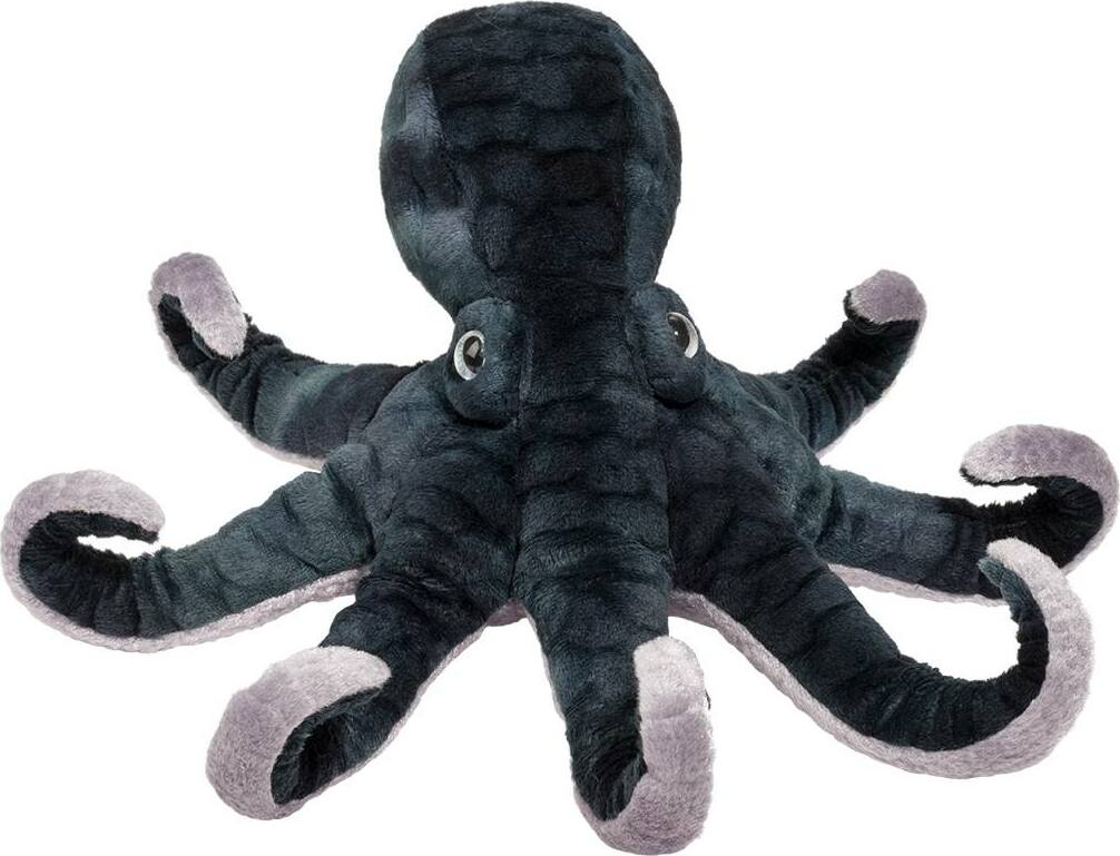 Winky Octopus