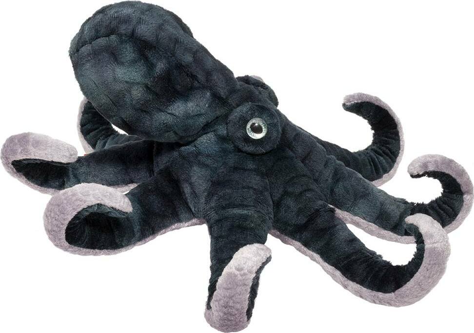 Winky Octopus
