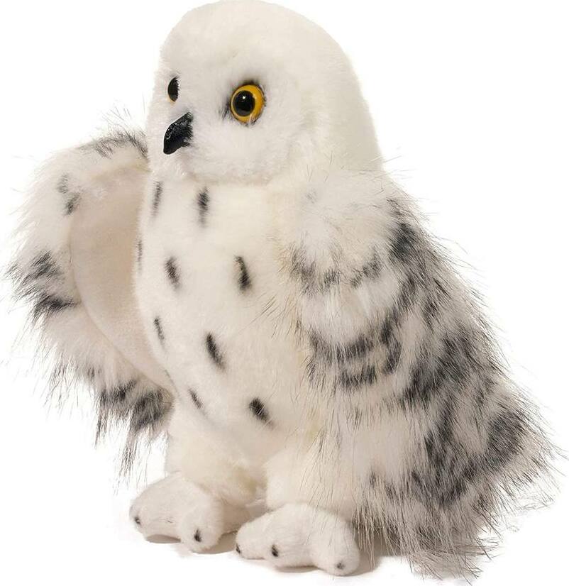 Wizard Snowy Owl