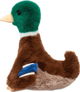 Plush Desie Soft Mallard Duck on a white background