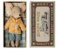Big Brother Mouse In Matchbox
