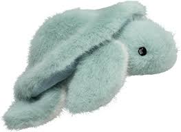 Aqua Turtle Lil Baby