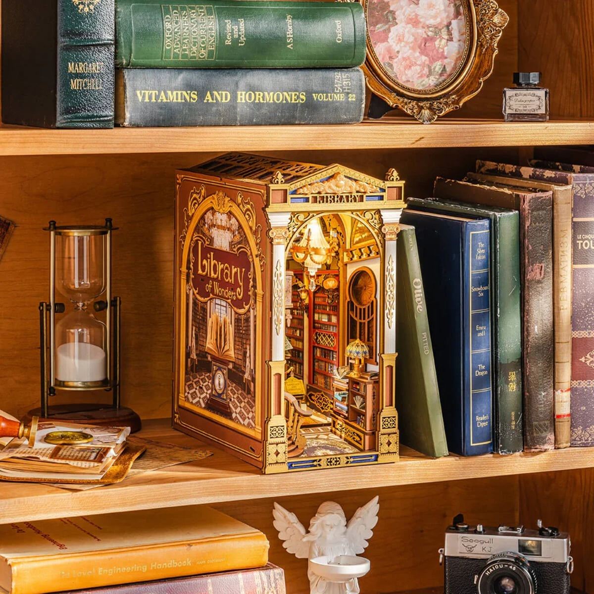 Wooden shelf with books, and a Library of Wonders DIY Book Nook, and a camera.