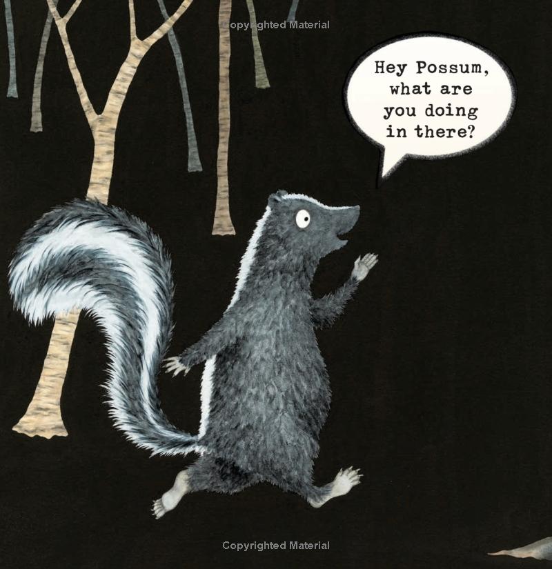 Night Animals