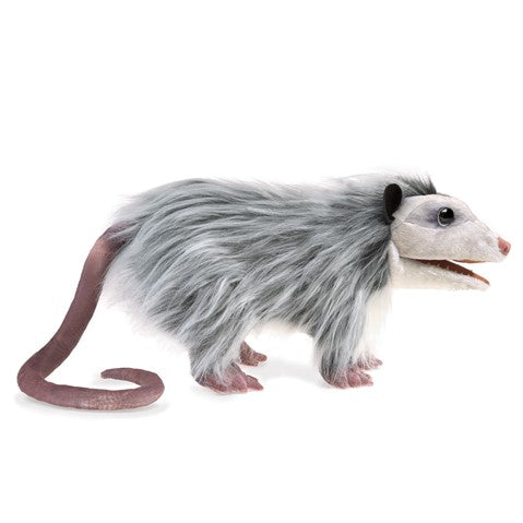 Opossum