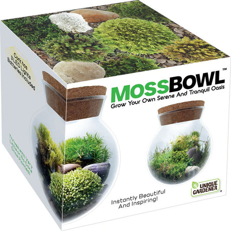 Moss Bowl