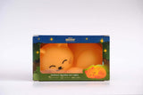 An ambient squishy cat night light by MUSHI, shown inside its retail packaging box against a clean white background.