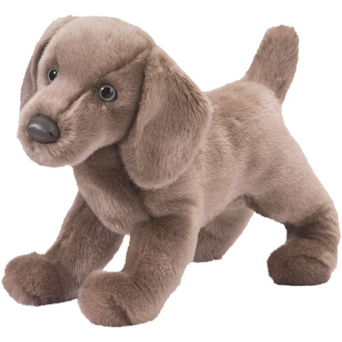 Plush Cassie Weimaraner on a white background
