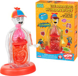 Toy figure of the human body with transparent torso, colorful packaging, and 'WOW! Kids' branding.