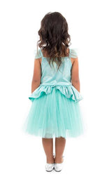 Teal Tutu Dress X-Large