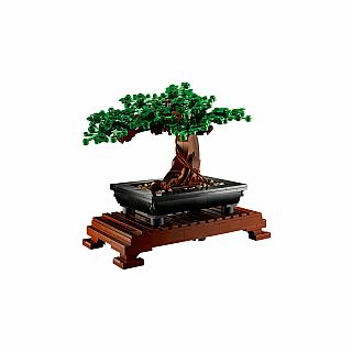 Bonsai Tree 