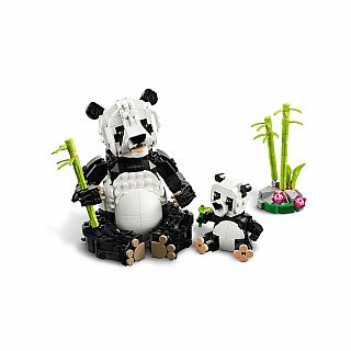 Wild Animals: Panda Family