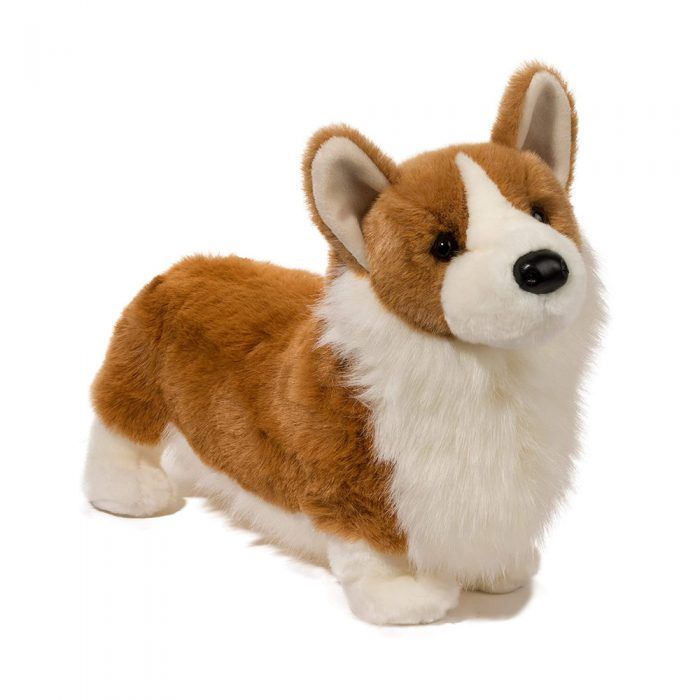 chadwick corgi