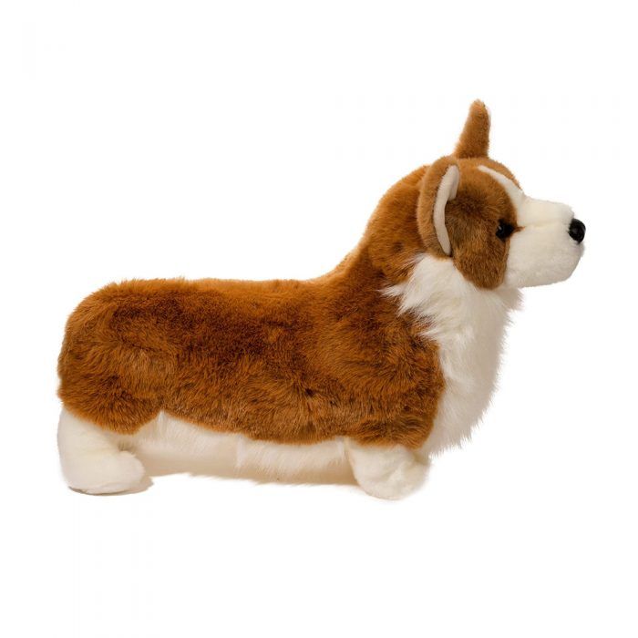 chadwick corgi