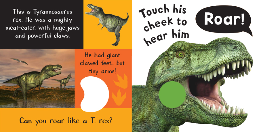 Noisy Dinosaurs Board Book - Grand Rabbits Toys in Boulder ...