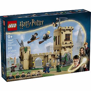 Hogwarts Castle: Flying Lessons