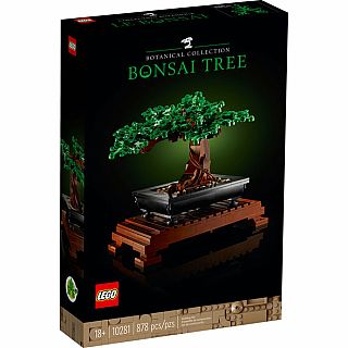 Bonsai Tree 