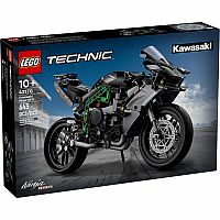 Kawasaki Ninja H2R Motorcycle