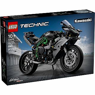 Kawasaki Ninja H2R Motorcycle