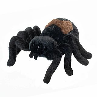 Sneakie Soft Spider