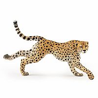 Running Cheetah