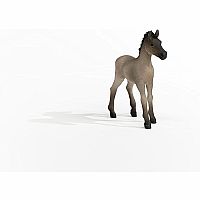 Horse Foal Criollo Definitivo 