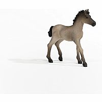 Horse Foal Criollo Definitivo 