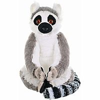 Ring Tailed Lemur 