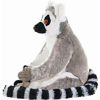 Ring Tailed Lemur 