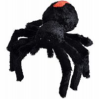 Redback Spider - 12