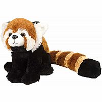 Red Panda - 12