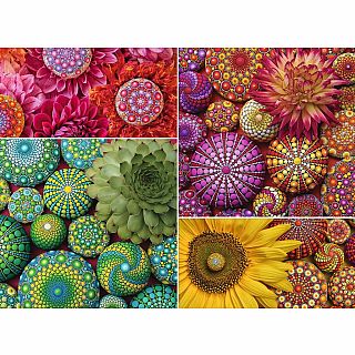 Color Your World Series — Mandala Blooms