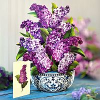 Garden Lilacs Pop Up Card