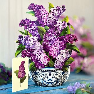 Garden Lilacs Pop Up Card