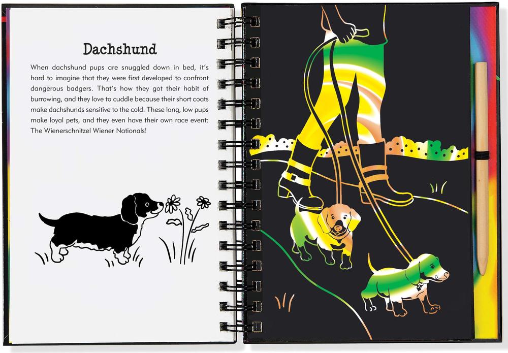 Scratch & Sketch Puppies Hardback - Grand Rabbits Toys in Boulder, Colorado