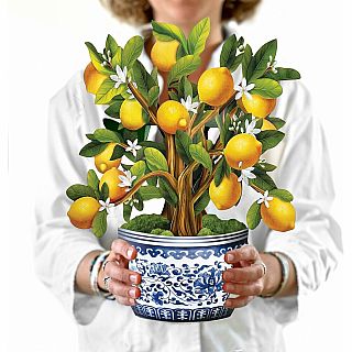 FreshCut Paper Pop Up Lemon Blossom Tree