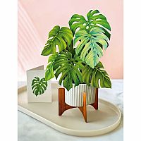 Monstera Plant Pop Up Card 