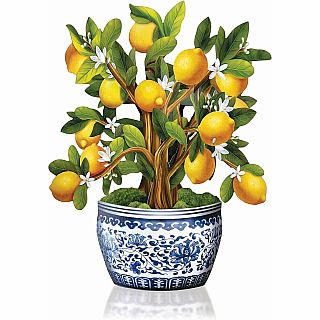 FreshCut Paper Pop Up Lemon Blossom Tree