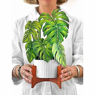 Monstera Plant Pop Up Card 