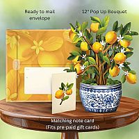 FreshCut Paper Pop Up Lemon Blossom Tree