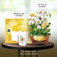 Serenity Orchid Pop Up Card 