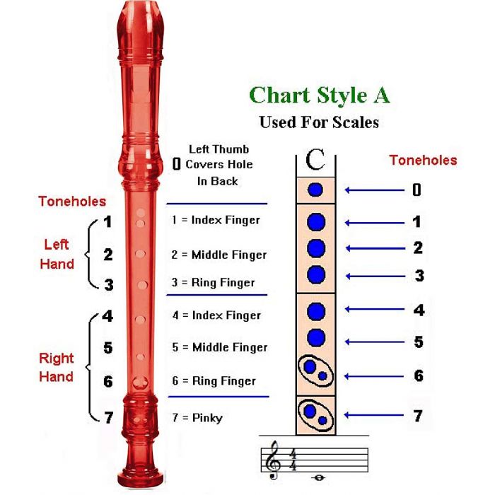 Translucent Recorder Assorted Colors - Grand Rabbits Toys in Boulder ...