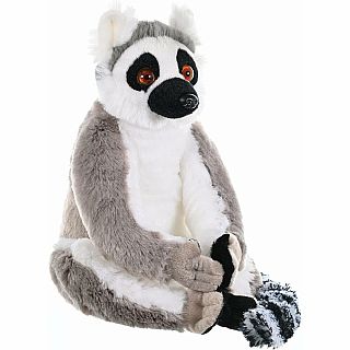 Ring Tailed Lemur 