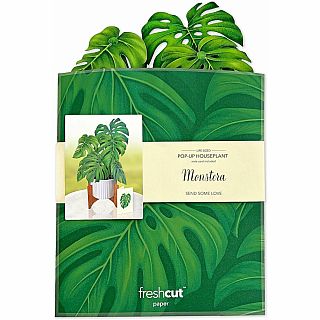 Monstera Plant Pop Up Card 