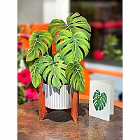 Monstera Plant Pop Up Card 