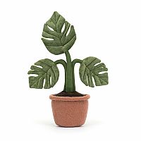 Amuseable Monstera Plant